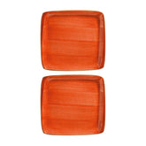 Terracota 8.5" x 8" Square Terracotta Vitrified Plate (Set of 2)