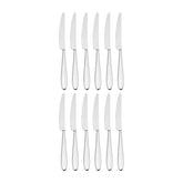 Anzo 9.25" Silver Stainless Steel Dinner Knife Mono 18/10 (Set of 12)