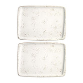 Grain 9" x 6" Rectangular Decorated Vitrified Plate (Set of 2)