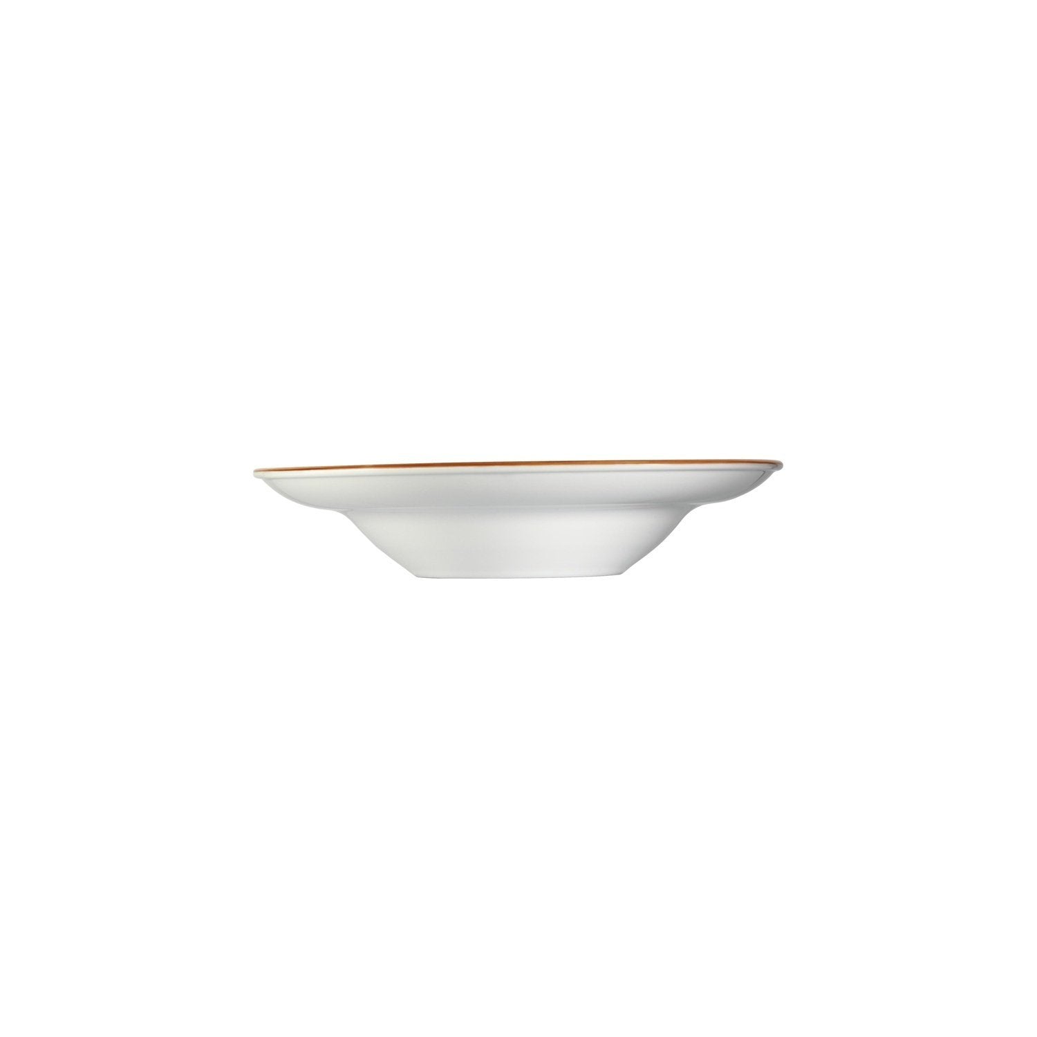 Aqua dia.10.75" h:2.25" 16 oz. Round Blue Vitrified Bowl