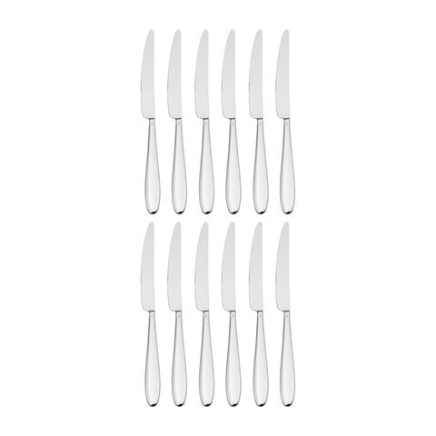 Anzo 9.25"  Silver Stainless Steel Dinner Knife Mono 18/10 (Set of 12)