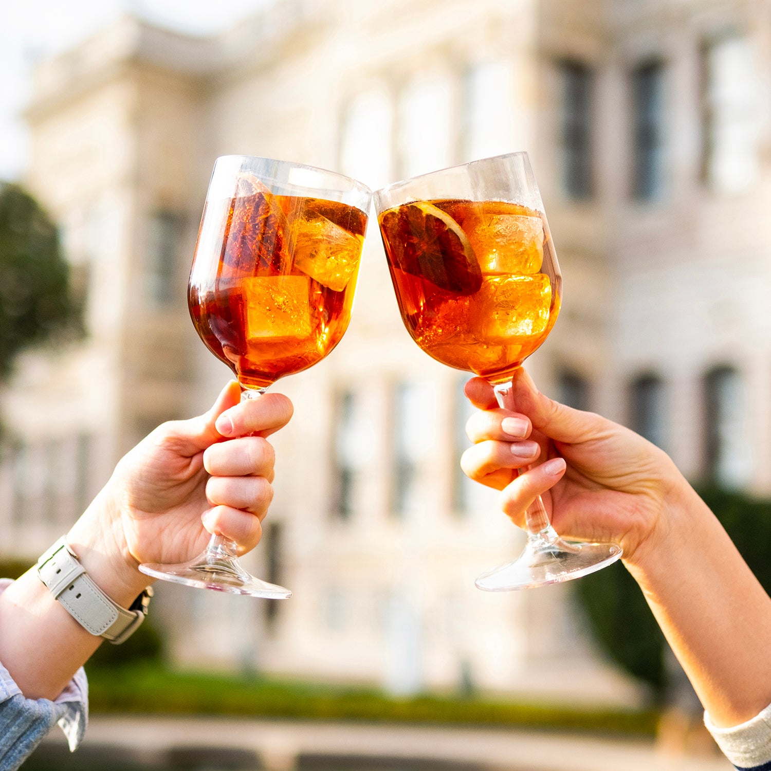 Premium dia.3.25" h:8.75" 16 oz. Round Clear Polycarbonate Cocktail/Wine (Set of 12)