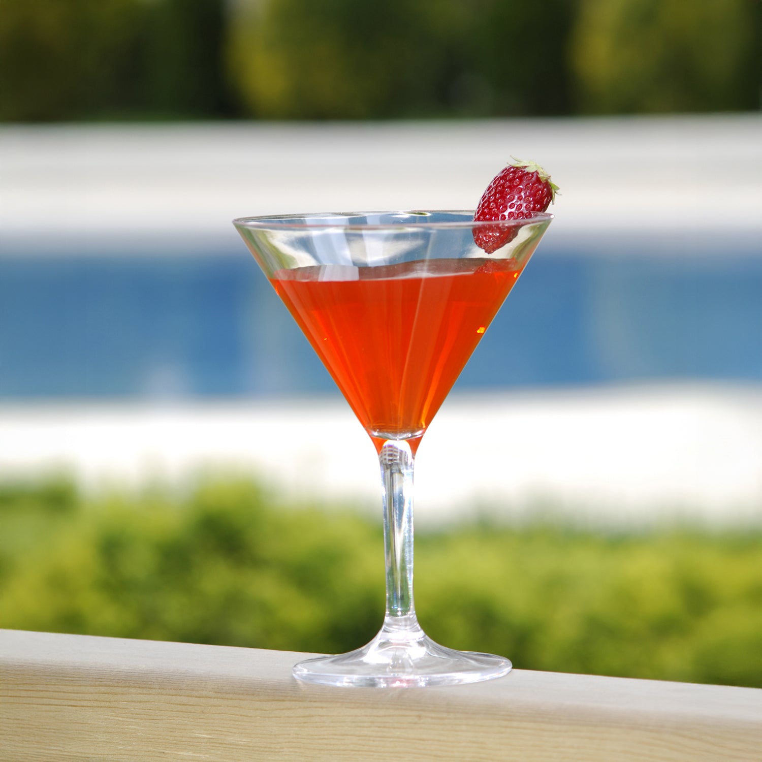 Premium dia.4.5" h:6.5" 9 oz. Round Clear Polycarbonate Martini (Set of 12)