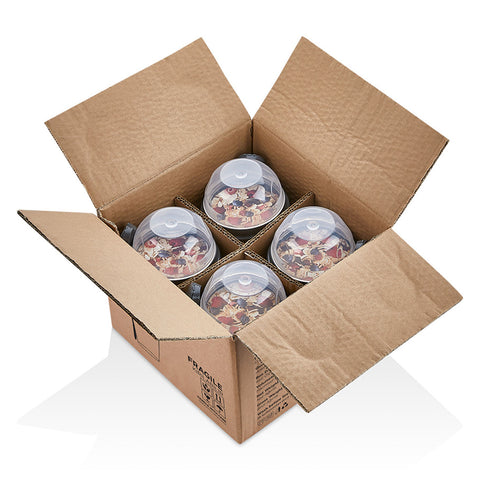 To Go Yogurt & Cereal Containers With Spoon (Set of 4)