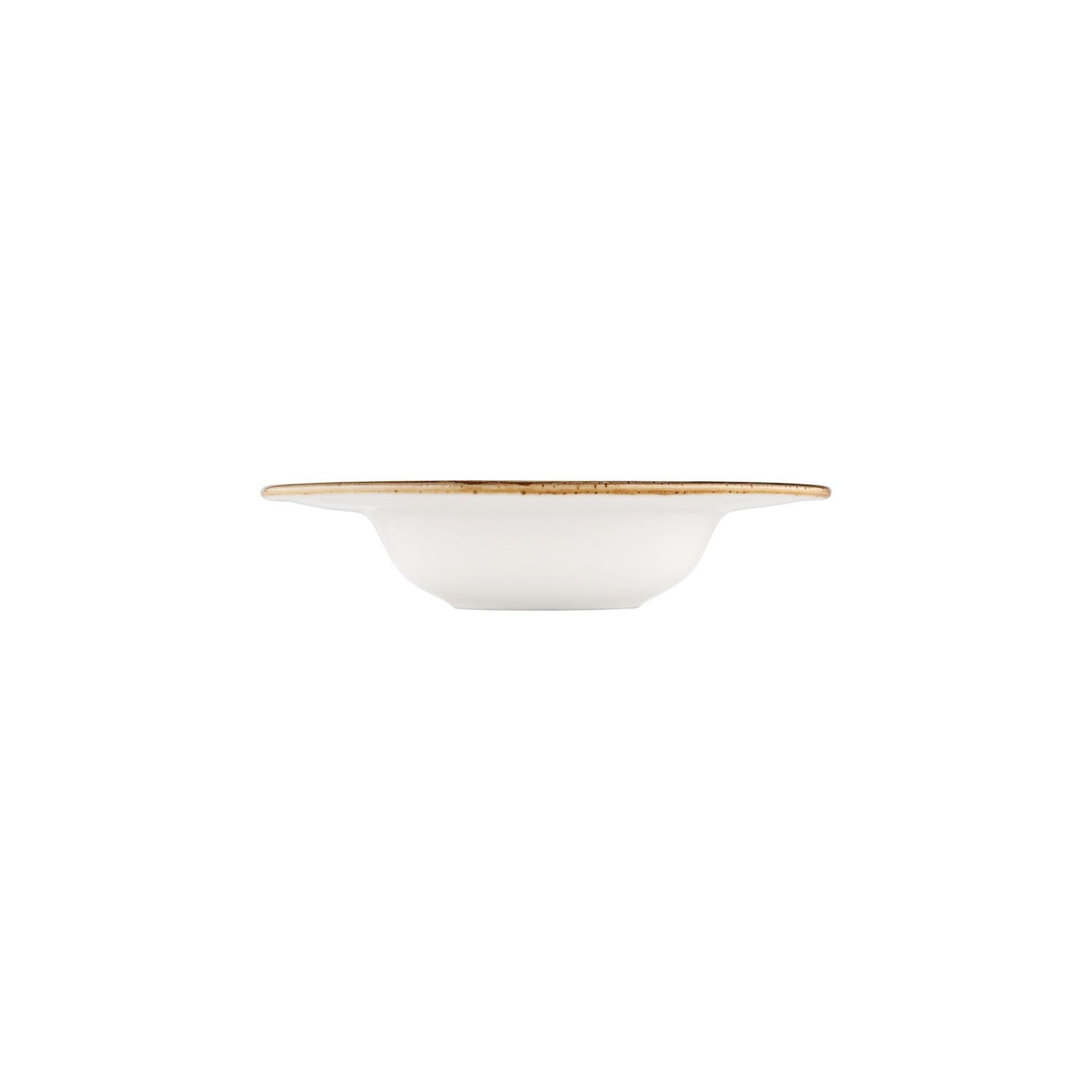 Enigma dia.11" h:2.25" 16 oz. Round Blue Vitrified Deep Plate (Set of 6)