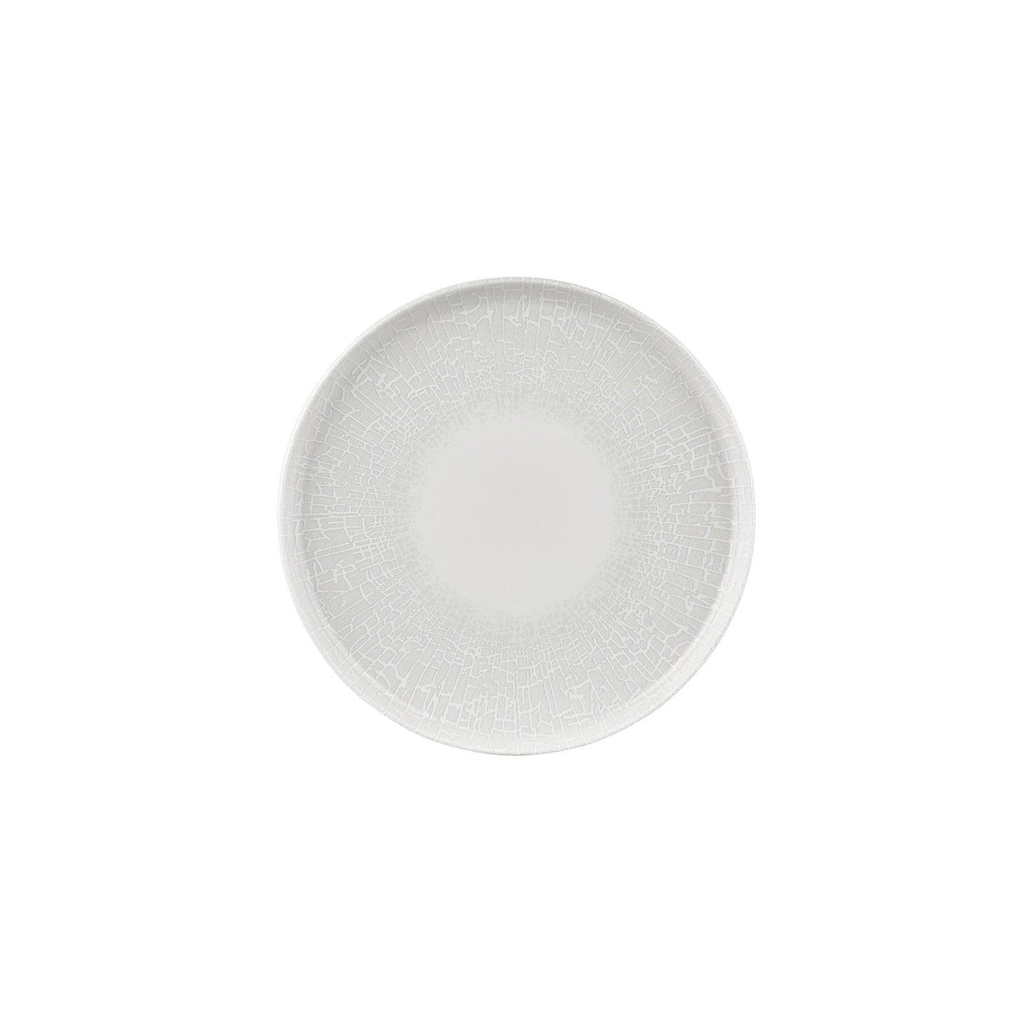 Illusion dia.9.75" Round Blue Vitrified Plate (Set of 4)