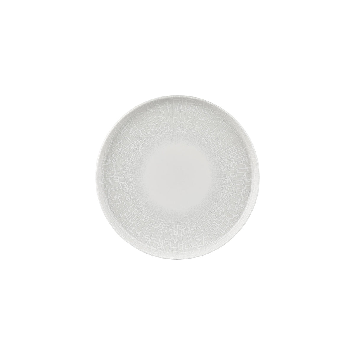 Illusion dia.9.75" Round Blue Vitrified Plate (Set of 4)