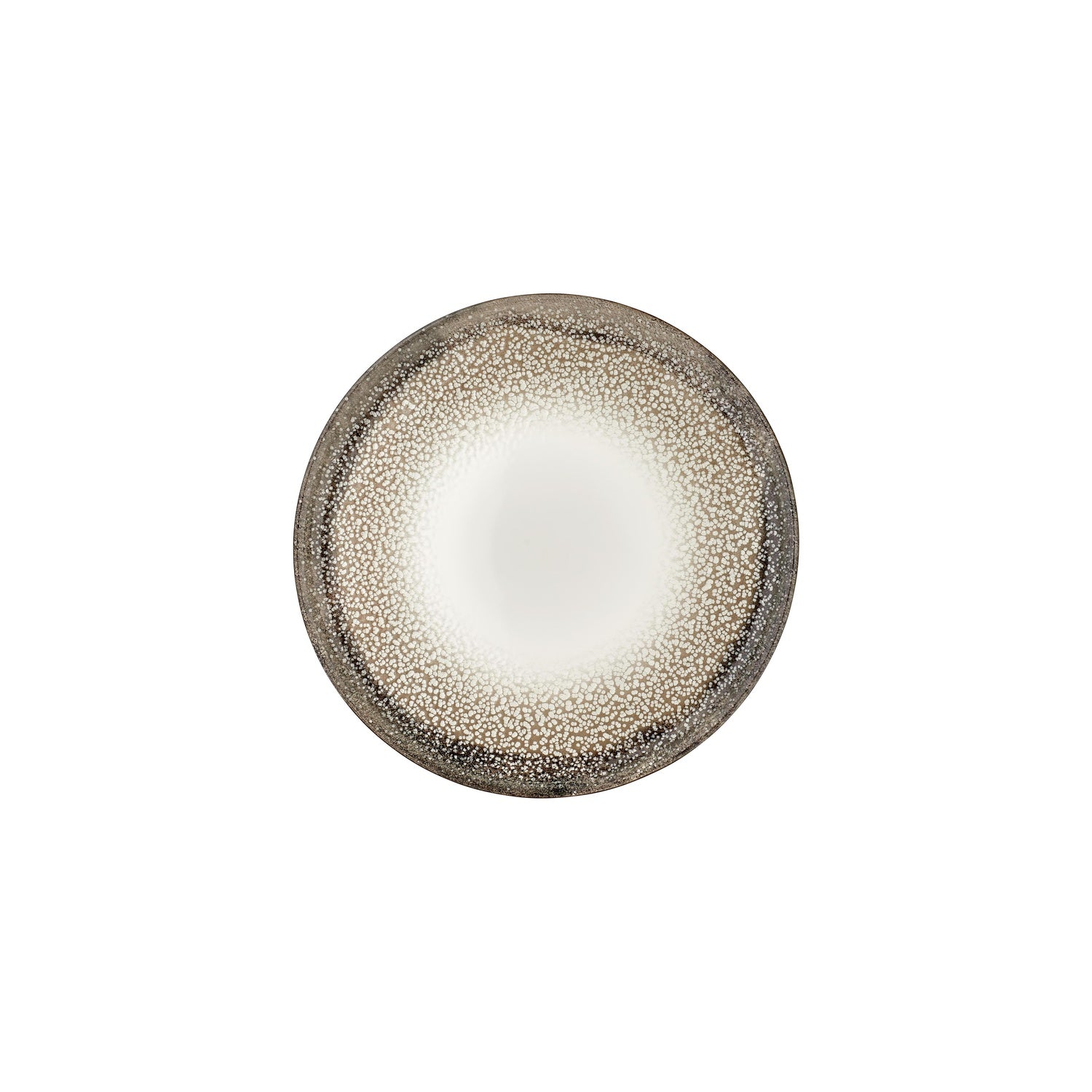 Spazio dia.9.75" Round Decorated Vitrified Plate (Set of 4)
