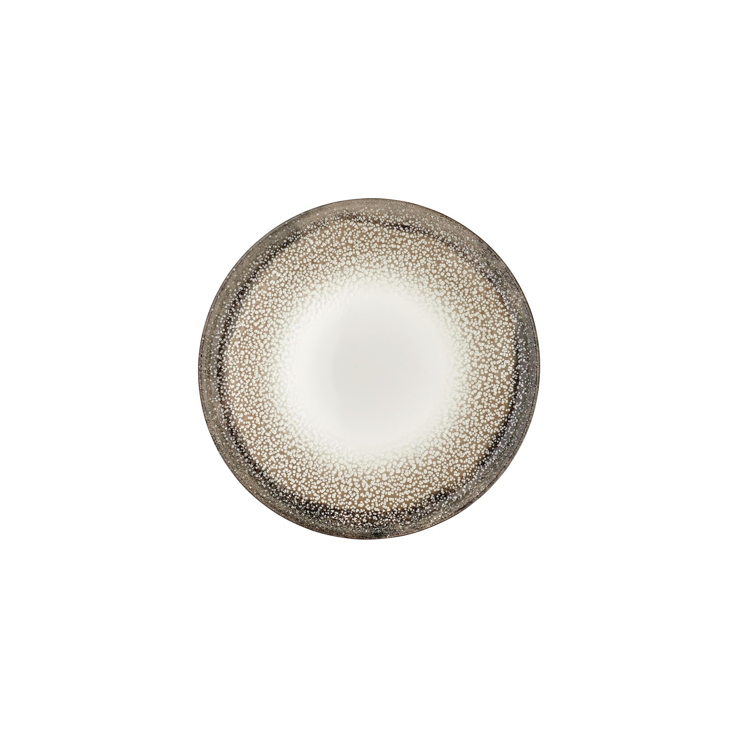 Spazio dia.9.75" Round Decorated Vitrified Plate (Set of 4)