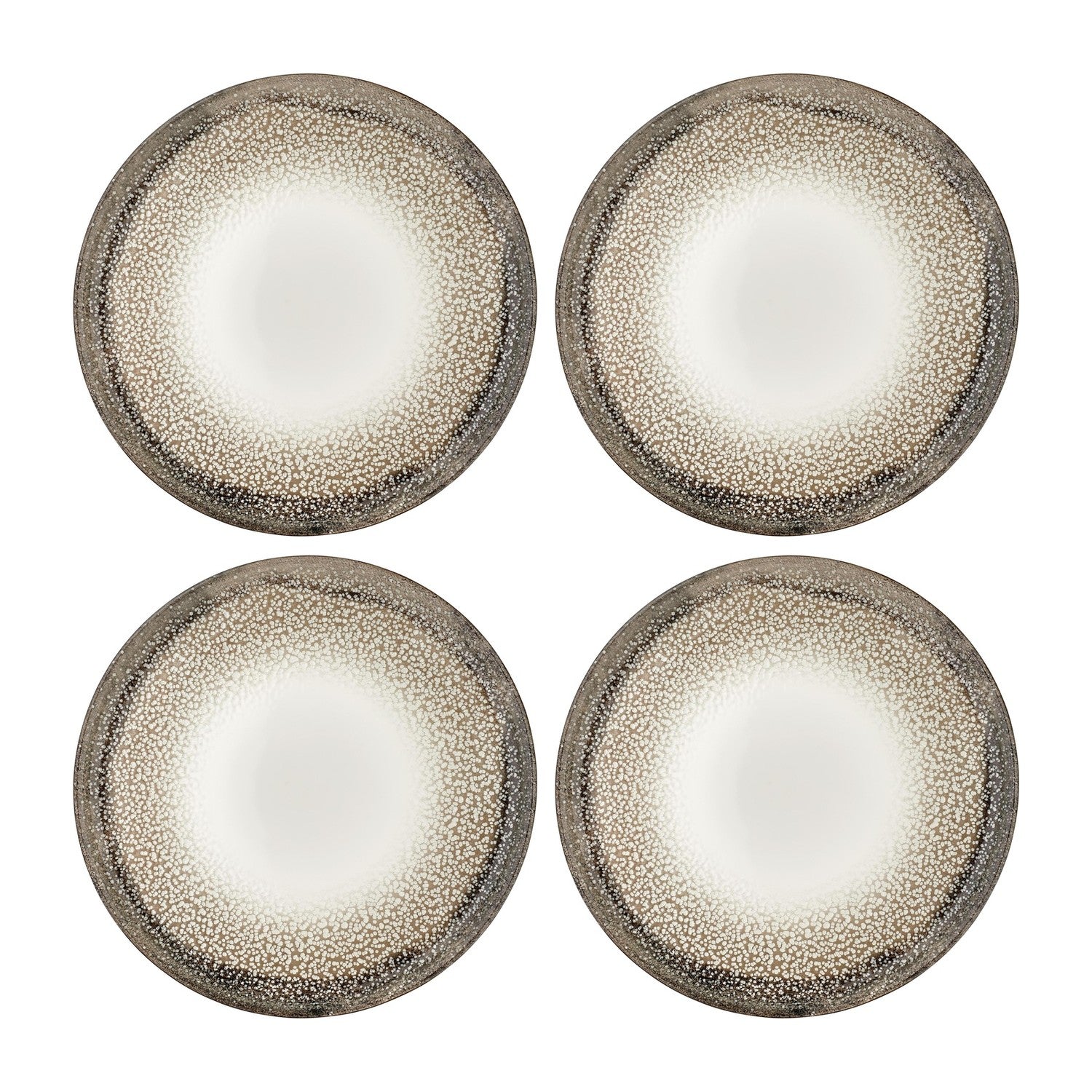 Spazio dia.9.75" Round Decorated Vitrified Plate (Set of 4)